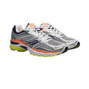 OMNI 9 AGRUMES SILVER